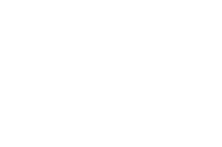 BOSSA Event Rentals