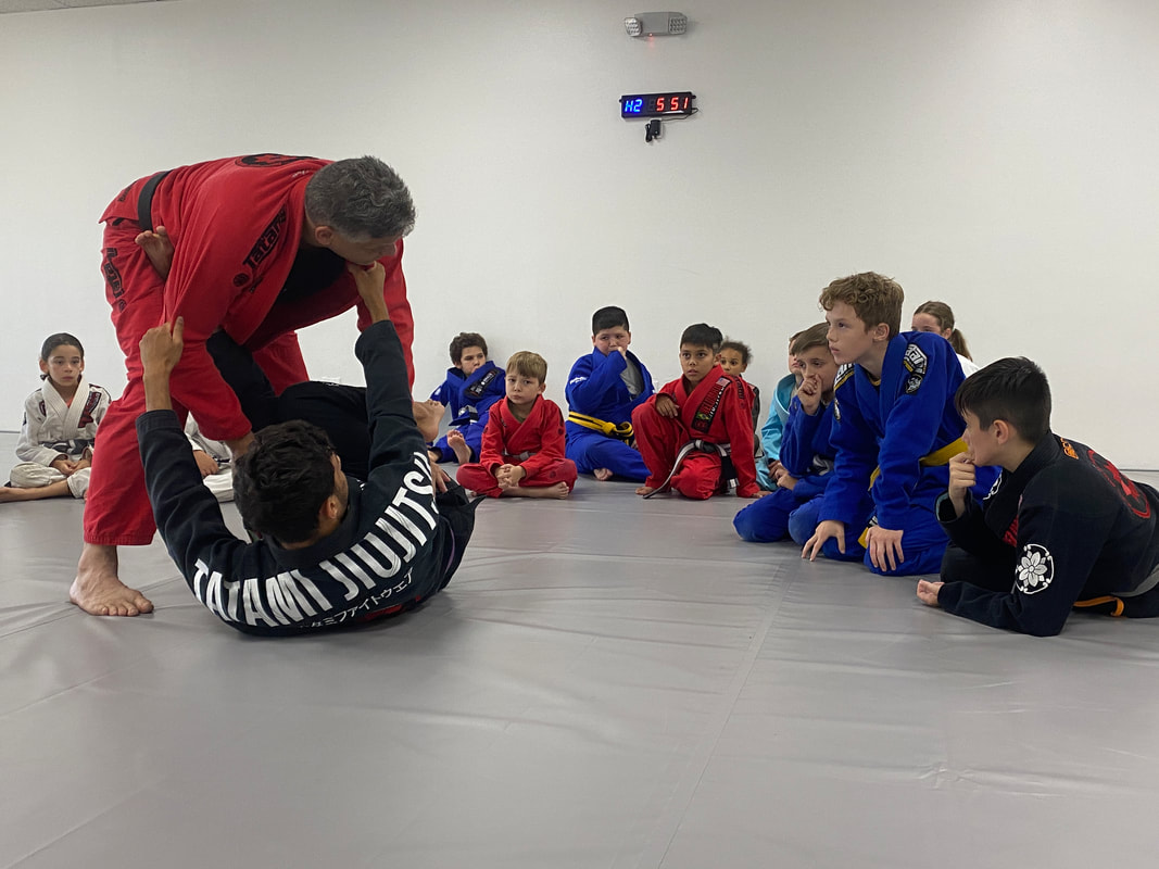 Foto 2 de Nelumbo Jiu-Jitsu Academy